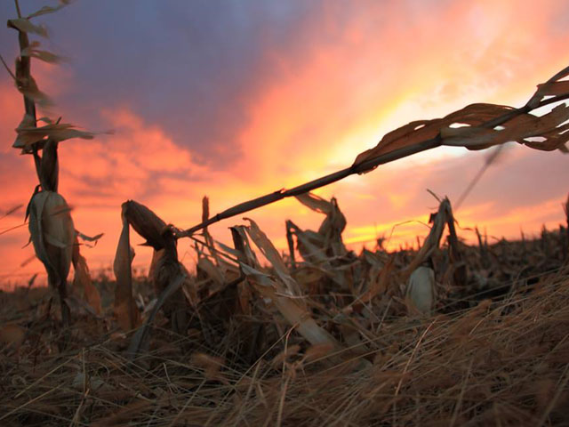 As the sun sets on 2019, DTN&#039;s Agronomy Advisers reflected on what they&#039;ve learned from this historically challenging season. (DTN photo by Elaine Shein) 